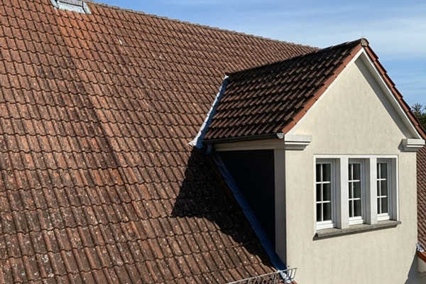 Verschmutztes Dach vor der Reinigung - Moos und Flechten auf Dachziegeln Verschmutztes Dach vor der Reinigung - Moos und Flechten auf Dachziegeln