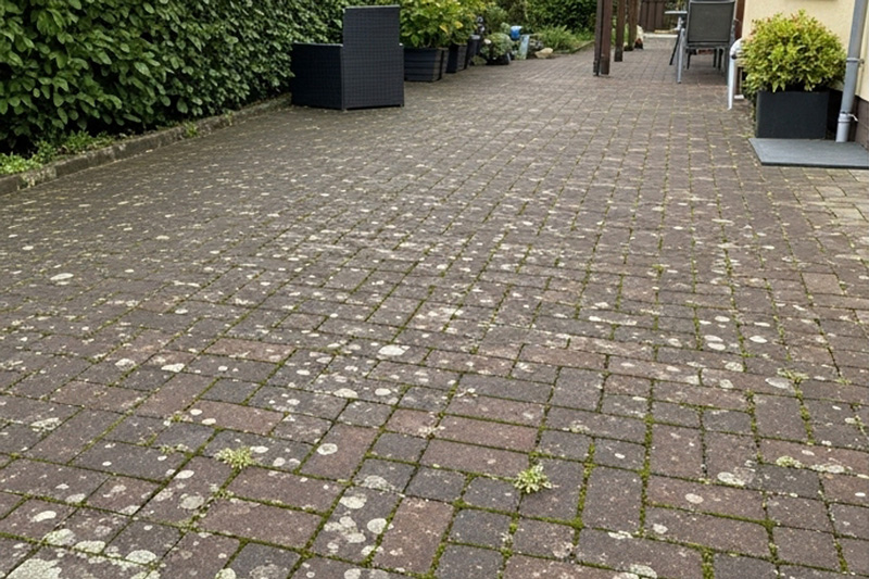 Verschmutztes Pflaster vor der Reinigung - Moos und Grünbelag auf Steinen Verschmutztes Pflaster vor der Reinigung - Moos und Grünbelag auf Steinen